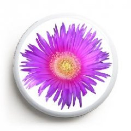 Freestyle Libre sticker floare lila